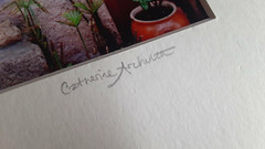 Catherine Archuleta Photograph Provence France SIGNED Pink House Roses + Purple