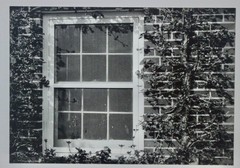 Lot of 3 B&W Photo 7 x 5- mat 14 x 12- Paddock Fence Stream Ivy Country Charm