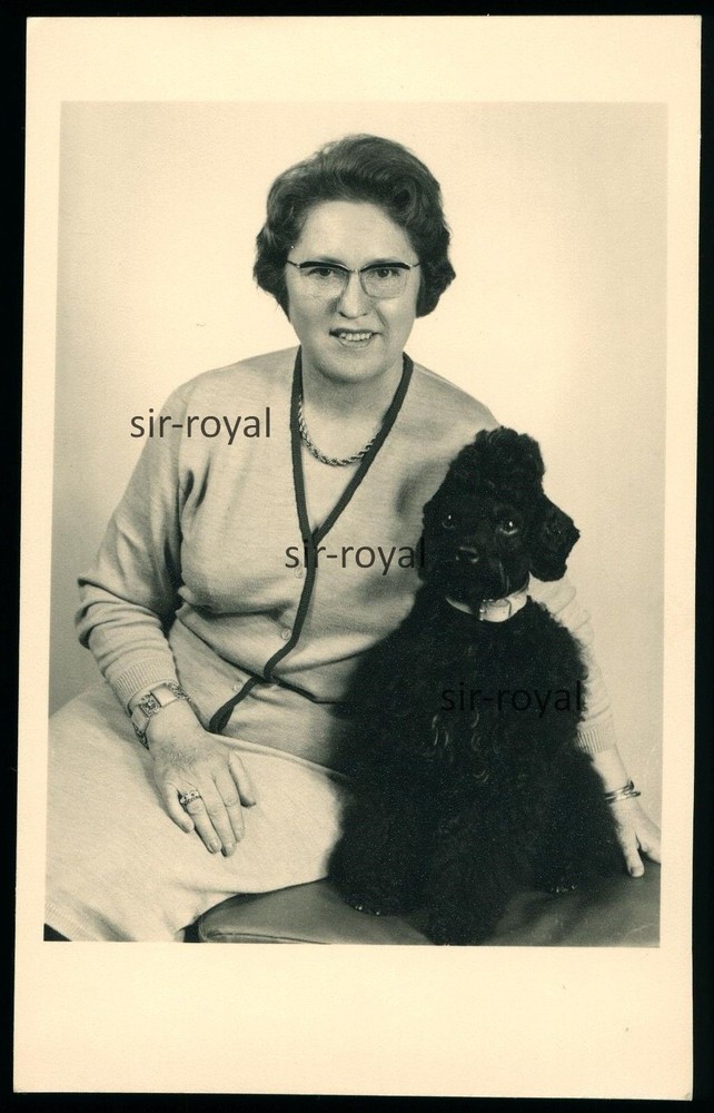 Frau mit Pudel Hund – Köthen DDR – 1960er Jahre – Foto 8x13cm