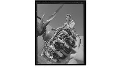 Vintage History Photo Print 8×10 Famous Historical Figure Portrait Decor