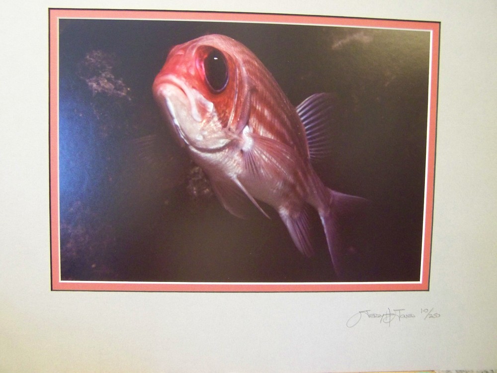 FINE ART PHOTOGRAPH No 10 OF 250 – UNDERWATER AQUATIC LIFE PIC by JERRY H JONES