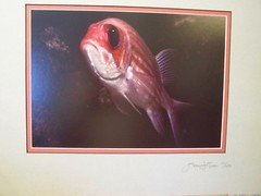 FINE ART PHOTOGRAPH No 10 OF 250 – UNDERWATER AQUATIC LIFE PIC by JERRY H JONES