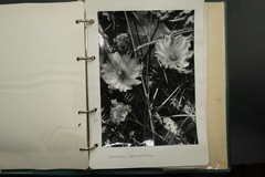 Photo Album Corsica France Island Church Building Landscape Nature Farmer Fisherman