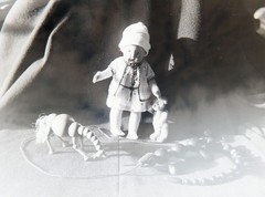 Glass Plates Negative Circa 1930 1933 Marburg Young Woman Teddy Doll Still Life