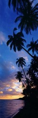 Peter Lik Original “Romantic Skies” Rare Limited Edition (299of 950)