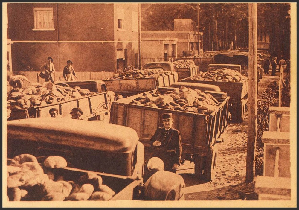 Republican Zone. Refugee Camp. (*) MNG (Circa 1939). Illustrated Postcard