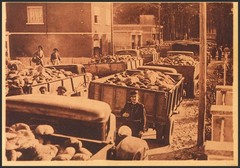 Republican Zone. Refugee Camp. (*) MNG (Circa 1939). Illustrated Postcard