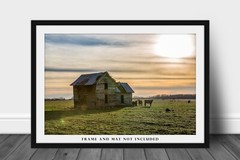 Country Photography Print – Picture of Abandoned House and Cows in Oklahoma