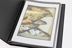 Photo Album – FISH MARKET Art Original Photography 40 – 5″ x 7″ Art Prints