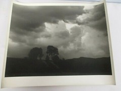 L. WHITNEY STANDISH PHOTOGRAPH NEW ENGLAND HILLSIDE & APPROACHING STORM ORIGINAL