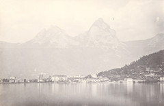 Antique Adolphe Braun 1812–1877 French Photographer Albumen Photograph Dornach