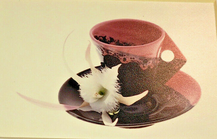 Limited Photograph Print WHITE ORCHID & TEACUP-M D Smith-#20 of 24-Matted-Great