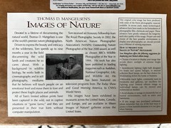 Thomas D. Mangelsen Guardian of Knight Inlet Rainforest Landscape Framed Photo