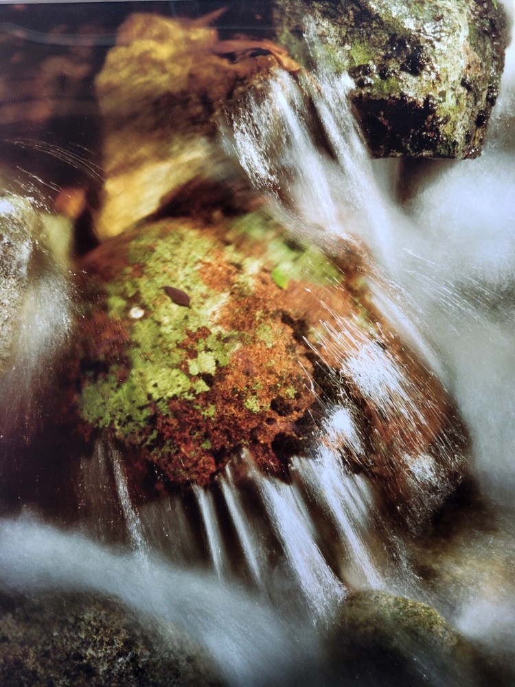 Richard Garrod, color 10.5×13 image on 16x 20 matte, photography art original
