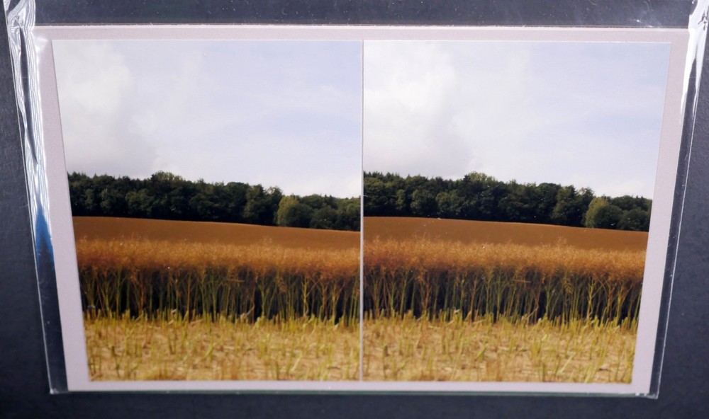 Boris Starosta 3D Stereoview – CREATIVE Wheat Field in Obernjesa Signed 2008