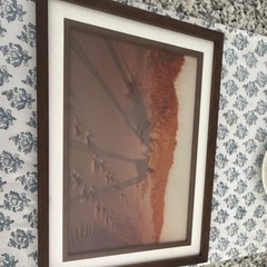 Horses in Shadow Sand Dunes Landscape Photograph Framed 14 1/2” x 11.
