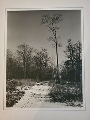 SNOW PATH TREES ORIGINAL SIGNED ART PHOTO B&W STETTNER VTG MATTE NJ CAMERA