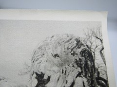 Signed Ildiko Butler photograph lichen covered sculpture/architecture study