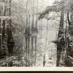 Blair Pittman: «Old River» – Original Gelatin Silver Print Photograph