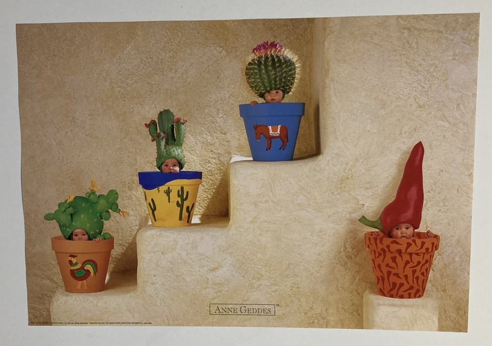 Ann Geddes, “Cactus Wall”Babies Dressed in Cacti Costumes,Original Poster # 8332