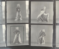NEWLY FOUND! Hendrickson PHOTO Contact Sheet Proof JULIET PROWSE POSING FUR HAT
