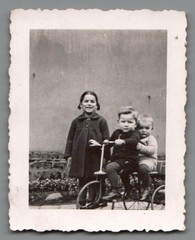 Bundle of 6 Photos Children Buttstädt Thuringia Pram Tricycle 1930s (F1264)