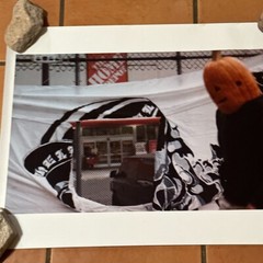 Janine Gordon Photograph 60″x72″ C-print Edition Grid Bike Kill Signed Fine Art