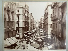 2 Album Photo by Giacomo Brogi circa 1870 Naples Napoli Italy 25x19cm (15+16)