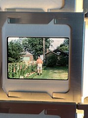 Lot Of 35 1964 Winter Flowers Lake Life Vacation Amateur 35mm Color Slides