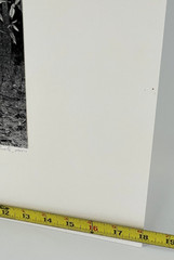 Charles Fendrock ‘Chestnut Leaves’ B&W Photograph – Unframed, Listed Artist