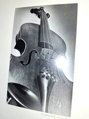 5 Gelatin Silver Fine Art Photography 1978 Signed Darkroom Prints OOAK 8×10 COA