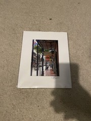 Louisiana Street Photography ￼