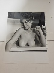 VINTAGE Publishers Photo 8X10 1960’S ART POSED BUXOM NUDE Diane Curtis
