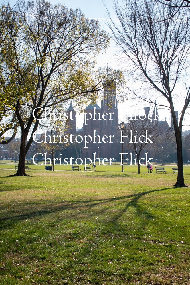 Washington DC District of Columbia United States Smithsonian Photograph 