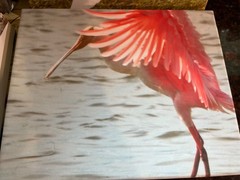 Wall Art Printable Image Bird Wildlife Pics Acrylic Canvas Painting Wall Decor