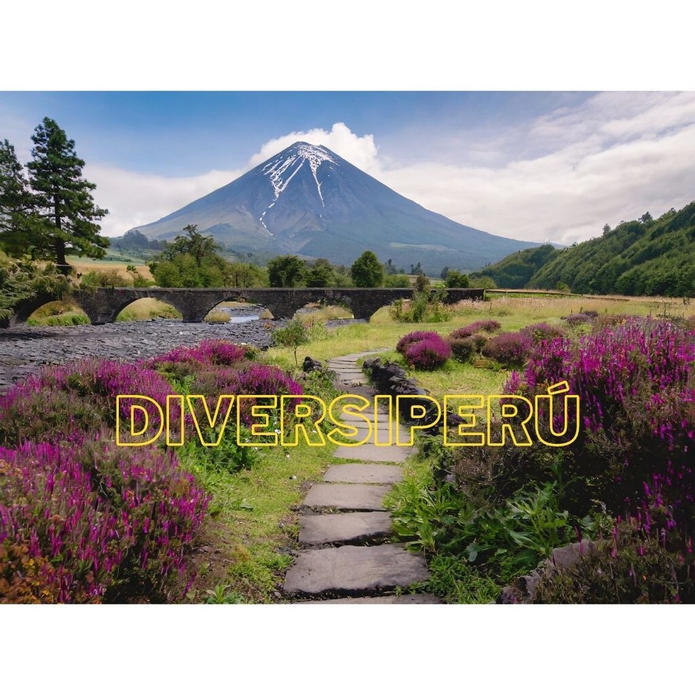Digital Image nature Photo Wallpaper Background AI ART