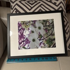 Nature photograph framed. color photograph, flowers, framed and matted. Dogwood