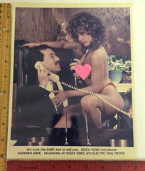 VINTAGE!! BARBARA DARE Promotional 8×10 PHOTO Adult X Film Star (Early 1980’s)