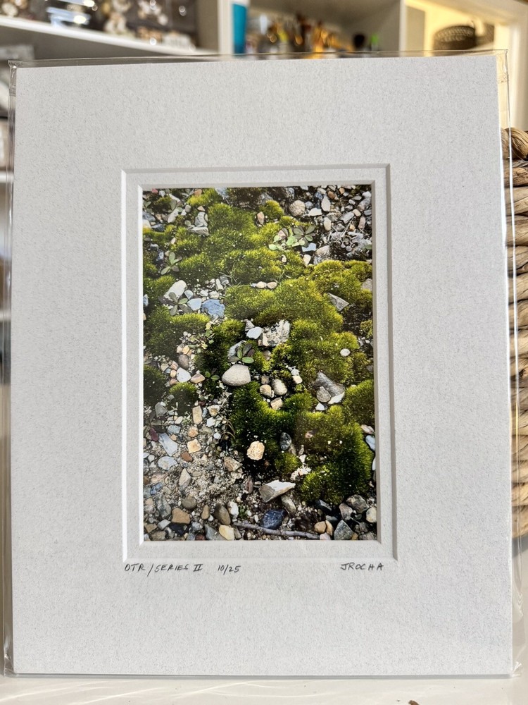 Original Photography 5X7 Picture Double Matted For 8X10 Frame