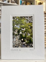 Original Photography 5X7 Picture Double Matted For 8X10 Frame
