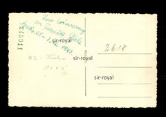 Apatin 1943 – Danube Swabia Family in Portrait – Serbia 1940s Photo Postcard 14x9cm