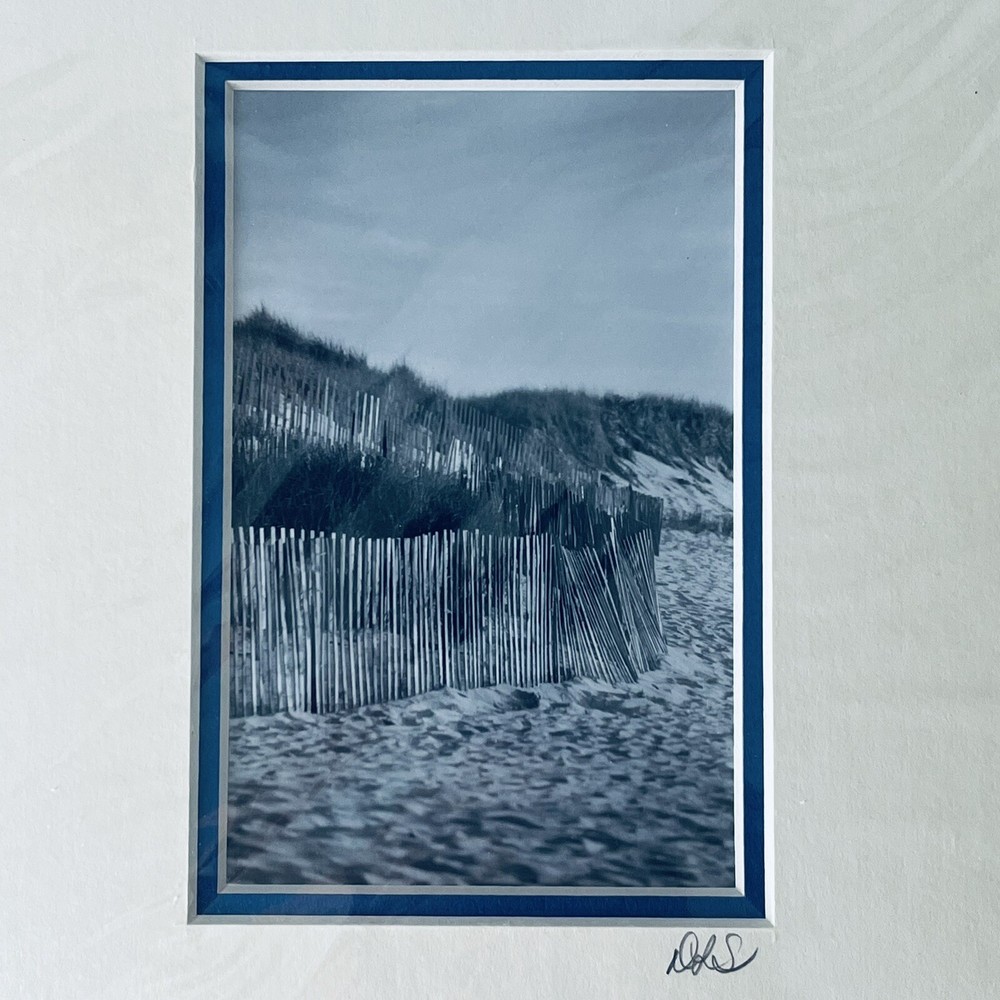 New Print Beach Fences on Dunes Black & White 8×10 Framed DLS Signed