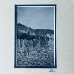 New Print Beach Fences on Dunes Black & White 8×10 Framed DLS Signed
