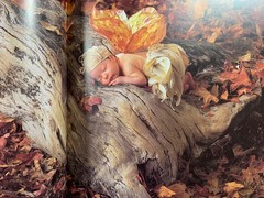 ANN GEDDES : Down In The Garden Brand New 1st Edition BABY PHOTO BOOK