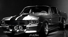 1967 Ford Mustang Shelby GT 500 – Classic Sports Car Framed Canvas Photograph