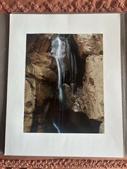 Vintage Eliot Porter Portraits Of Nature Portfolio