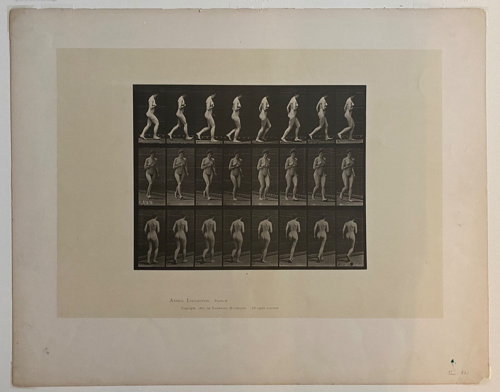 EADWEARD MUYBRIDGE authentic 1887 collotype ANIMAL LOCOMOTION PLATE 70 – lewitt