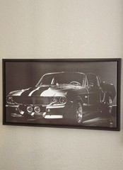 1967 Ford Mustang Shelby GT 500 – Classic Sports Car Framed Canvas Photograph