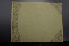 Photo Album Empty Postcard Art Deco Art Nouveau Green Large Stock Pictures Antique Old