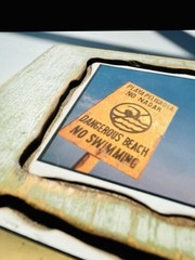 Custom wood Piranha beach photography art home deco by Steve Harris
